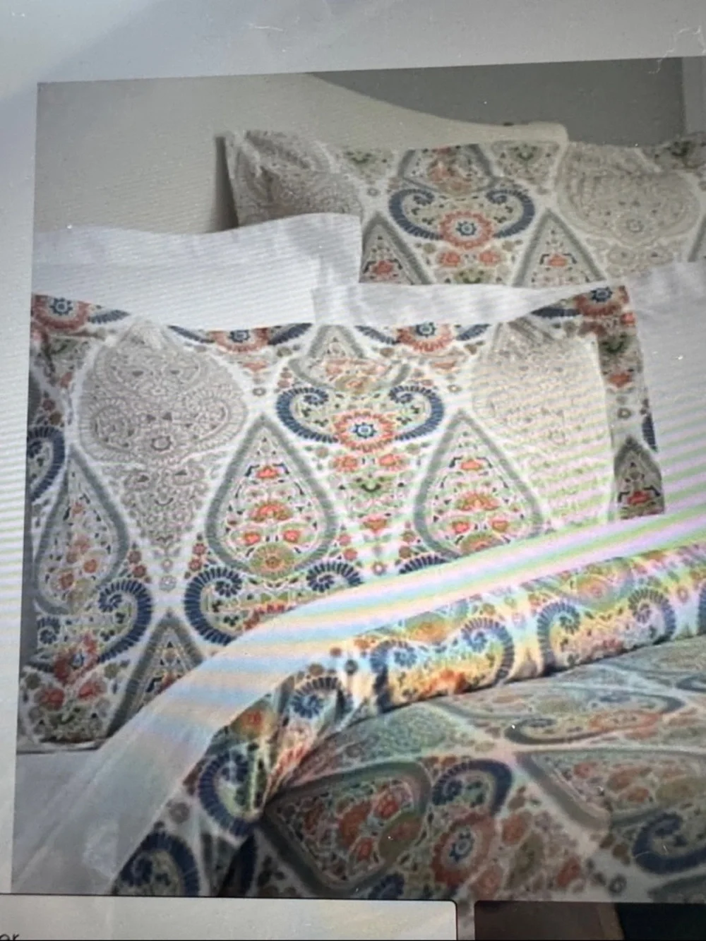 Pottery barn Giselle paisley Medallion 2 euro shams & 1 STD sham Bohemian Cotton